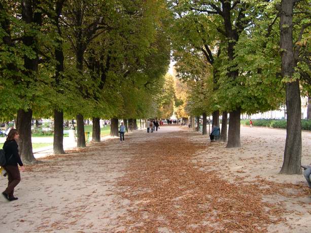  l'automne à Paris
